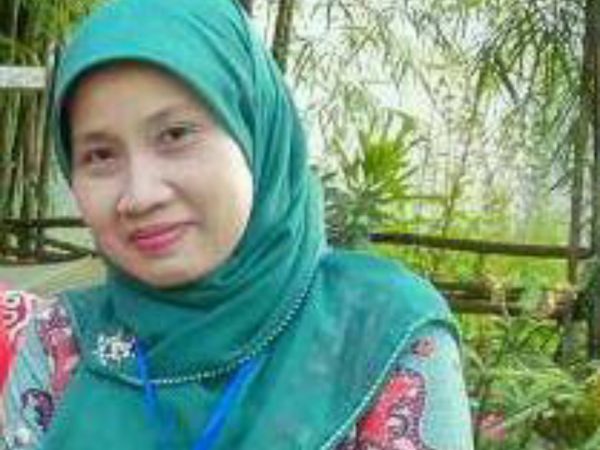 Rahmi Mirza Tarmizi, SE